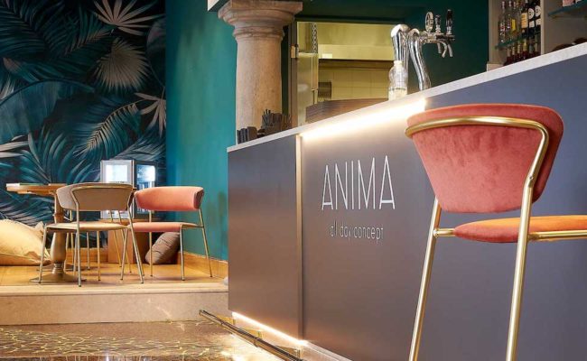 CAPODANNO ANIMA CLUB  DESENZANO CON DJ SET